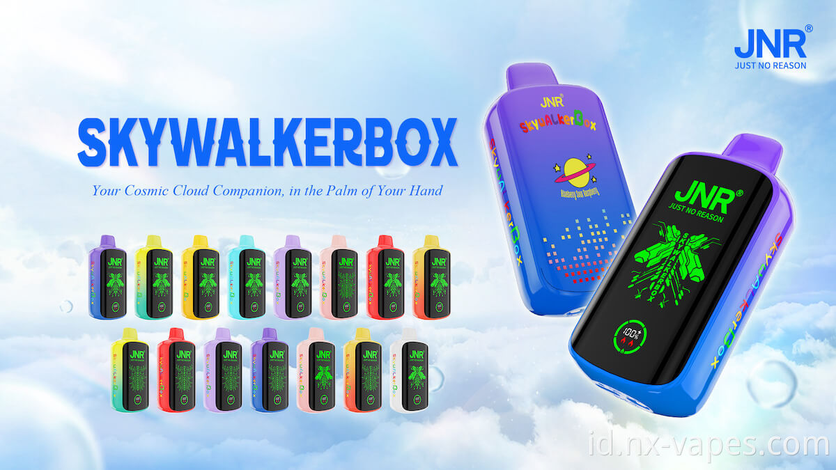 JNR Sky Walker Box 21000 (3)
